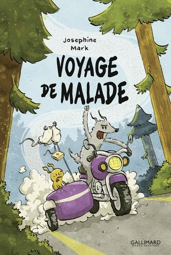 Un voyage de malade