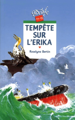 Temp&ecirc;te sur l'Erika